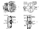Schemes of the operation of the hydraulic steering wheel