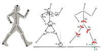 Modelo biomecánico bidimensional del cuerpo humano en el plano sagita