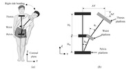 Schemes for a lateral-bending movement