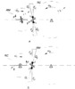 Schema de stabilire a rotii motoare/conduse