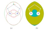 2-RRR planar parallel manipulator. Workspace and singularities