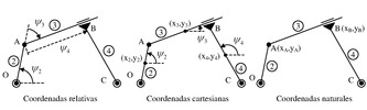 Coordinates for multibody kinematic analysis