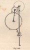 Fig. 446