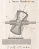 Tav. VII Fig. 9