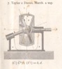 Tav. VII Fig. 7