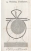 Tav. IV Fig. 14