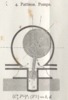 Tav. IV Fig. 4