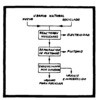 Nuclear fuel cycle.