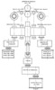 Diagram of a modern rolling mill.