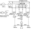 Reversible cold reduction train in a single box