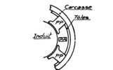 The evolution of the wavy current motors.