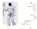 The roboter ASIMO