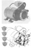 Orbital motion of the auxiliary pump.